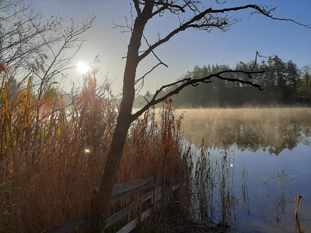 Olszynowy Zakatek -Mala Magia Lägenhet Augustów Exteriör bild